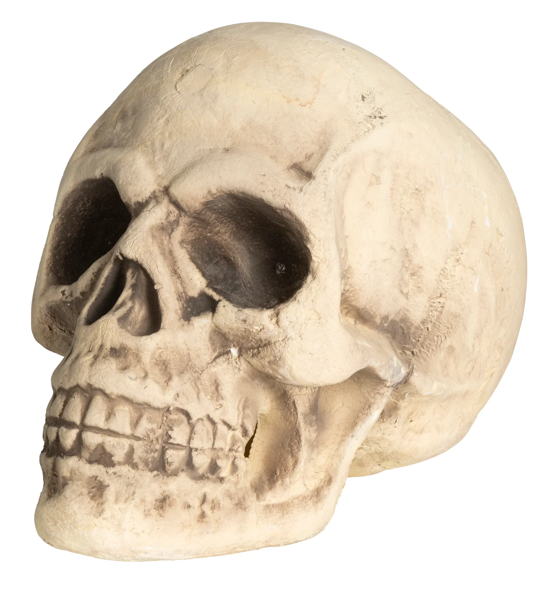 Skull LED Eyes
