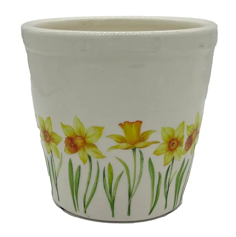 Potte Daffodil