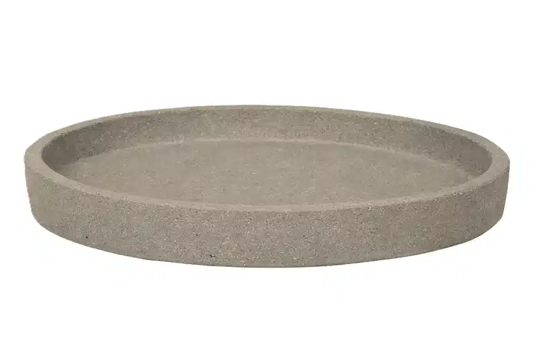 Saucer Nova